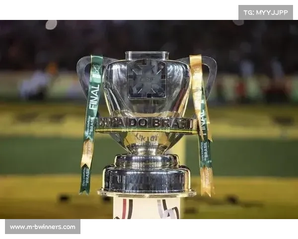 2023年巴西杯最新比分与积分榜全景解析与赛程回顾 2023年巴西杯最新比分与积分榜全景解析与赛程回顾